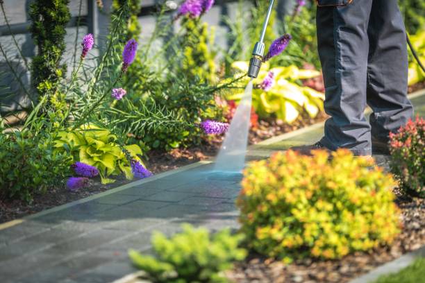 Best Patio and Deck Pressure Washing  in La Harpe, IL