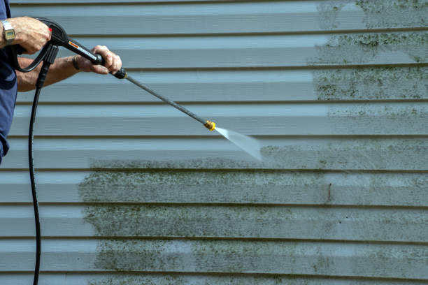 Best Sidewalk and Walkway Cleaning  in La Harpe, IL